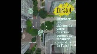 Miniature : Lichen GO ! Projet de Sciences participatives