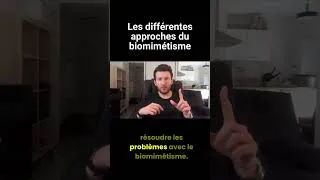 Miniature : Les différentes approches du biomimétisme