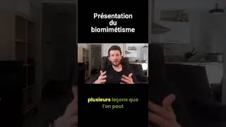Miniature : Présentation du biomimétisme