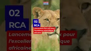 Miniature : Mali : conflits armés et déplacements de populations à Bankass