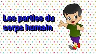 Miniature : Les parties du corps humain 💁
