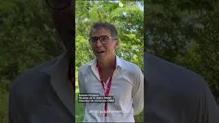 Miniature : Romain Pasquier sur la transition écologique et la justice sociale