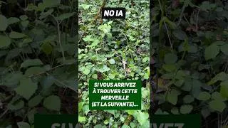 Miniature : Quelqu’un a déjà vu cette dinguerie ? (La deuxième)