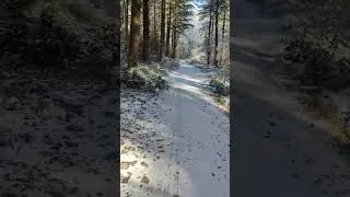 Miniature : Run hivernale : perdu dans les bois sous la neige ❄️🌲