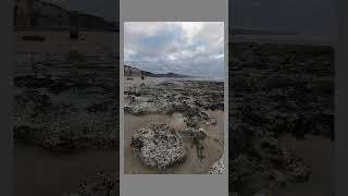 Miniature : La photo de paysage en Seine-Maritime