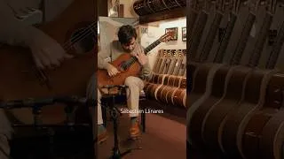 Miniature : ¡ Django !