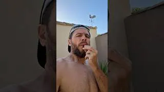 Miniature : ✅COMMENT FABRIQUER UN SIFFLET AVEC UN NOYAU D’ABRICOT EN 5min 🎺