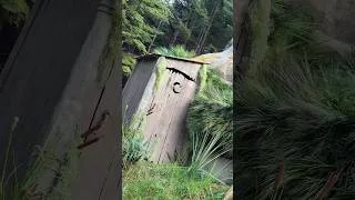 Miniature : Shrek IRL🧌