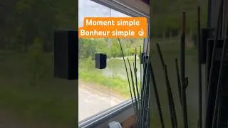 Miniature : Partage de petits moment simple dans la verdure, une autre vie… #vanlife #music