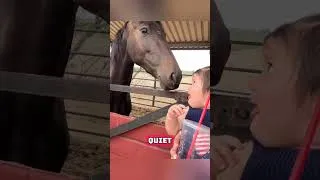 Miniature : Why This Horse Backed Away From a Baby