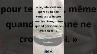 Miniature : Dans l'esprit de Sandrine Martinet, championne paralympique et quintuple médaillée aux Jeux