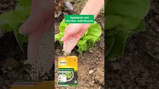Miniature : Protégez vos cultures des limaces avec Solabiol ! Barrière anti-limaces sans danger pour les animaux