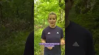 Miniature : Activité physique : la force du collectif pour rester motivé(e) 💪