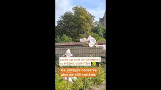 Miniature : Découvrez le potager lauréat du 𝗚𝗿𝗮𝗻𝗱 𝗣𝗿𝗶𝘅 𝗱𝗲 𝗹𝗮 𝗖𝗮𝘁𝗲́𝗴𝗼𝗿𝗶𝗲 𝟯 – 𝗣𝗼𝘁𝗮𝗴𝗲�