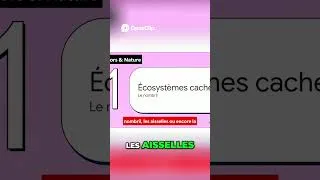 Miniature : Soins de la peau vieillissante  : zones oubliées cruciales !