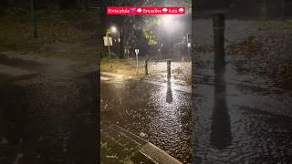 Miniature : Forte pluie ☔️ #tempête #orage #pluie #rain #thunder #storm #brussels #belgium #bruxelles #belgique