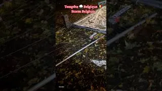 Miniature : Belgique Tempêtes #tempête #orage #pluie #storm #rain #thunder #belgium #brussels #belgique #rain