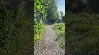 Miniature : Promenade du matin dans la nature