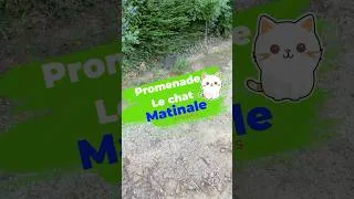 Miniature : Un petit chat dans les bois