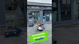 Miniature : Un didgeridoo au marché de Noël de Strasbourg