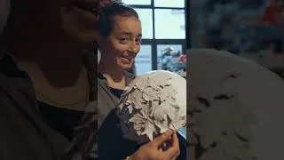 Miniature : Fleuriste CFC 1. Pars en stage avec Mathilde Gremaud