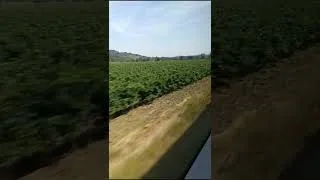 Miniature : SNCF train liO Occitanie/🎧🎹 platine mix