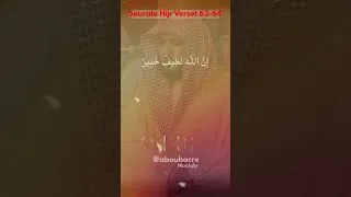 Miniature : اكتشف كيف يصف القرآن دورة الحياة على الأرض!