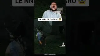 Miniature : LE NNN DE GOZARU 🥸