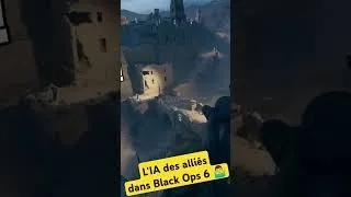 Miniature : l'IA des alliés dans Black Ops 6 🤷‍♂️