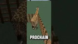 Miniature : 🦒✨ « Votre Zoo commence avec la REINE du zoo : la girafe ! »