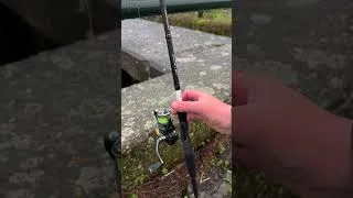 Miniature : Cannes Shimano YASEI BB 🎣🔥