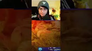 Miniature : Le jeu #destiny2 me troll et me démolit !