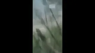 Miniature : Les ruses des Talibans : quand les pierres deviennent des grenades