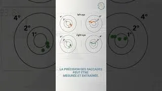 Miniature : La fixation au Tennis
