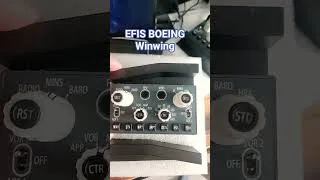 Miniature : efis winwing