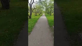 Miniature : IL FAIT BEAU AUJOURD'HUI A MONTREAL CANADA