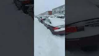 Miniature : NEIGE A MONTREAL