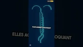 Miniature : 🛡️ Tout savoir sur la Santé Sexuelle et la Contraception : Protégez-vous intelligemment ! 💡