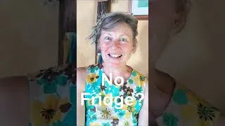 Miniature : 4 Good Reasons Not To Have A Fridge - not everyone in the world has one! #shorts