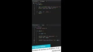 Miniature : Entrées et sorties en Python, C et Javascript #shorts #programmation