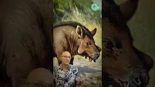 Miniature : Les cochons de l'enfer : les Entelodontes ! ,  #science #animals #paleontology  #animals