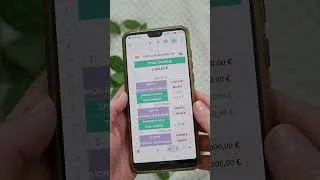 Miniature : Le Budget Mobile