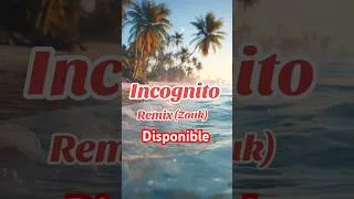 Miniature : 🌴🔥Incognito-Zouk Remix☀️by Skyj Music 🔥🌴#zouk#zoukremix tropical #summer#dj#skyjmusic#tiktok