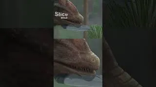 Miniature : Feathered Dinosaurs And The Origins Of Birds | SLICE WILD