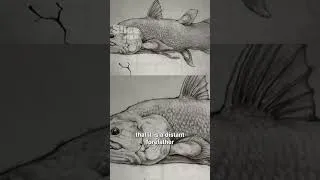 Miniature : The prehistoric fish still alive | SLICE WILD