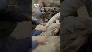 Miniature : Mongolie : une tombe scythe figée depuis 2300 ans