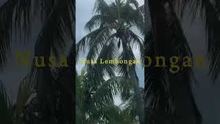 Miniature : Island vibe #bali #island #travel #travelvlog #beautifuldestinations #vlog #vacation
