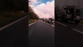 Miniature : Qu'est ce qui gueule comme ça ?