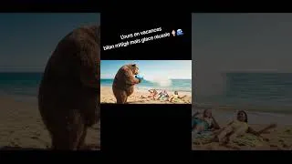 Miniature : L’ours en vacances : bilan mitigé mais glace réussie 🍦🌊