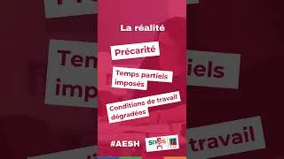 Miniature : AESH : pour un vrai statut avec un vrai salaire !